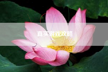 真实游戏攻略