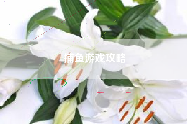 捕鱼游戏攻略