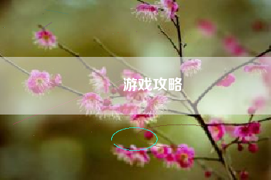 囧囧游戏攻略