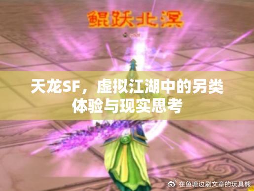 天龙sf内幕揭秘，江湖风云、玩家经历与真实体验全解析！  第3张