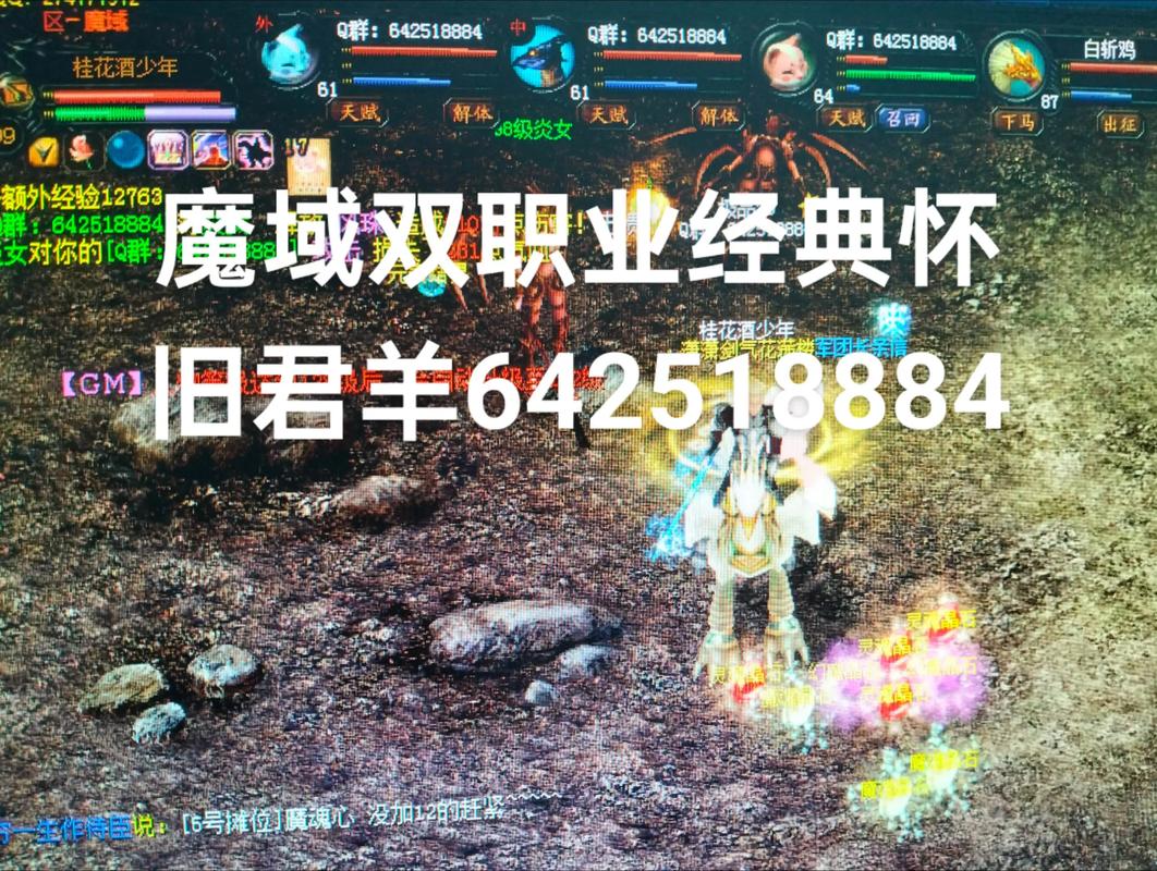 魔域私服攻略,职业选择、副本技巧,助你成为顶级玩家! 第3张 魔域私服攻略,职业选择、副本技巧,助你成为顶级玩家! 第3张