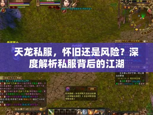 天龙私服黑幕揭秘，隐藏玩法与虚假宣传背后的真相，希望对大家有所帮助！  第2张