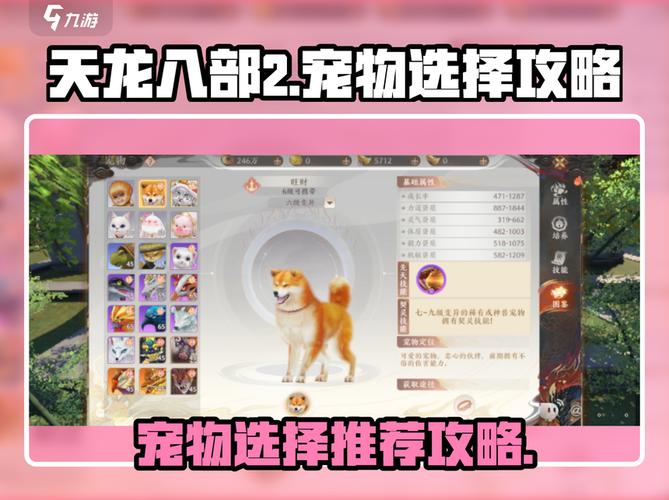 天龙八部私服，选门派、练技能、养宠物实战攻略！