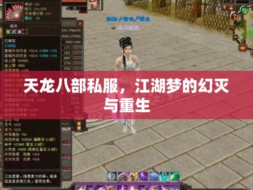 天龙私服揭秘，起源、特点与玩家体验，全方位解析！