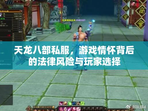 天龙私服独家解析，超高自由度+自定义系统，玩家必看攻略