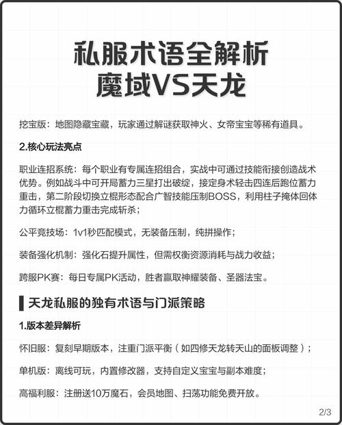 天龙私服，独特特点与游戏乐趣揭秘，什么是私？