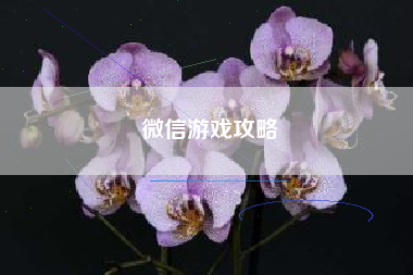 微信游戏攻略