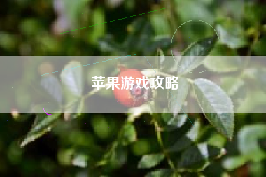 苹果游戏攻略