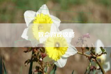 致命游戏攻略