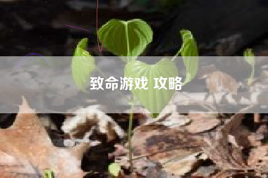 致命游戏 攻略
