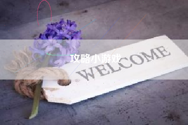 攻略小游戏