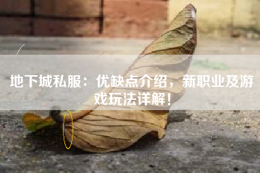 地下城私服：优缺点介绍，新职业及游戏玩法详解！
