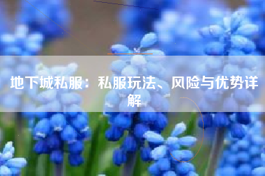 地下城私服：私服玩法、风险与优势详解