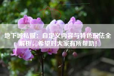 地下城私服：自定义内容与特色玩法全解析，希望对大家有所帮助！