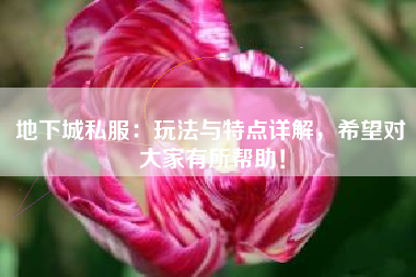 地下城私服：玩法与特点详解，希望对大家有所帮助！