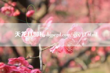 天龙八部私服-bjpegd.com/sjyx/17.html