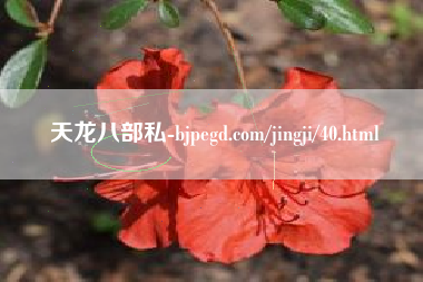天龙八部私服-bjpegd.com/jingji/40.html