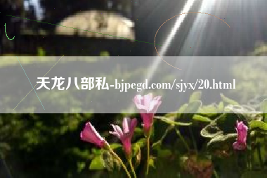 天龙八部私服-bjpegd.com/sjyx/20.html