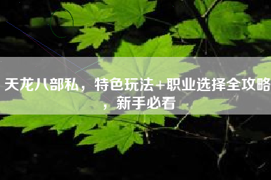 天龙八部私服，特色玩法+职业选择全攻略，新手必看