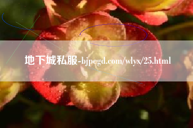 地下城私服-bjpegd.com/wlyx/25.html