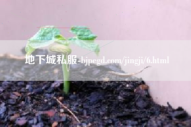 地下城私服-bjpegd.com/jingji/6.html